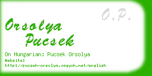 orsolya pucsek business card